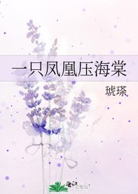 一只凤凰压海棠