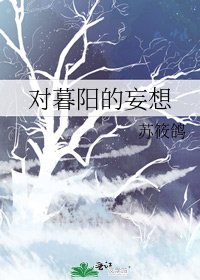 对暮阳的妄想