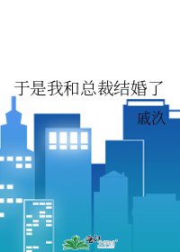 于是我和总裁结婚了