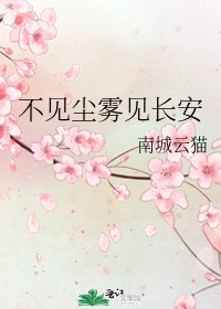 不见尘雾见长安