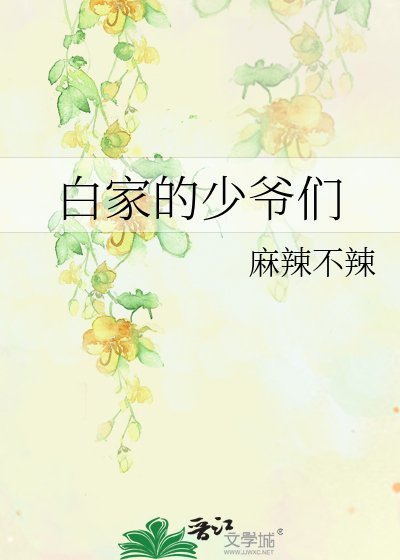 白家的少爷们