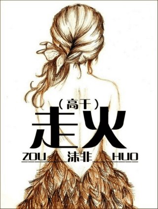 走火(高干)