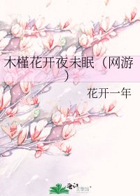 木槿花开夜未眠(网游)