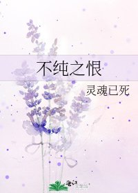 不纯之恨