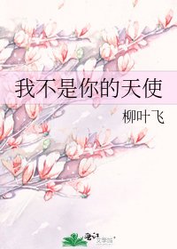 我不是你的天使