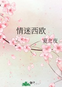 情迷西欧