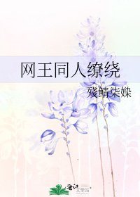网王同人缭绕