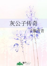 灰公子传奇