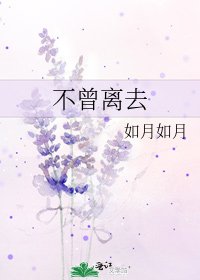 不曾离去