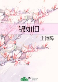 锦如旧