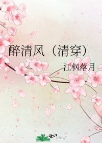 醉清风(清穿)