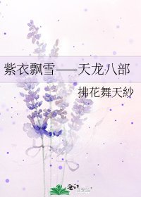 紫衣飄雪——天龍八部