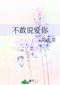 不敢说爱你