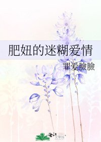 肥妞的迷糊爱情