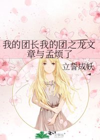 我的团长我的团之龙文章与孟烦了