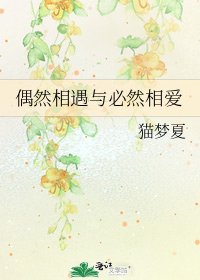 偶然相遇与必然相爱