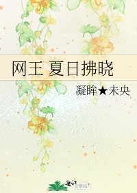 网王 夏日拂晓