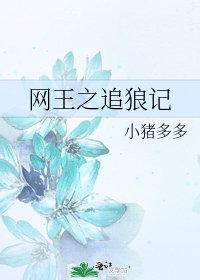 网王之追狼记
