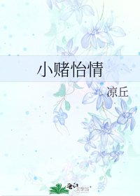小赌怡情