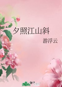夕照江山斜