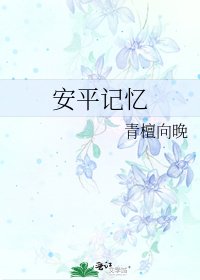 安平记忆