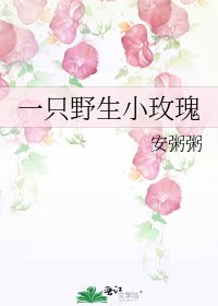 一只野生小玫瑰