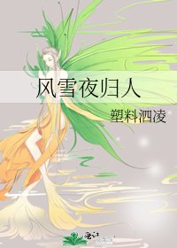 风雪夜归人
