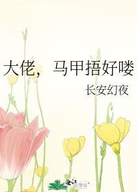 大佬,马甲捂好喽