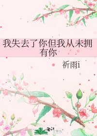 我失去了你但我从未拥有你
