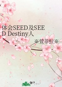 体会SEED及SEED Destiny人物