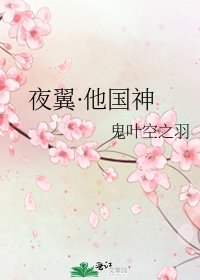 夜翼·他国神