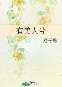 有美人兮