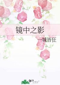 镜中之影