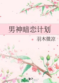 男神暗恋计划