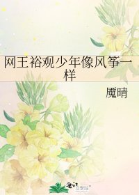 网王裕观少年像风筝一样