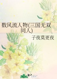 数风流人物(三国无双同人)