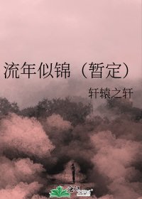流年似锦(暂定)