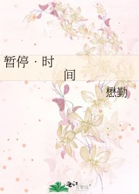 暂停•时间