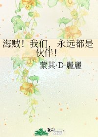 海贼!我们,永远都是伙伴!