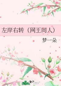 左岸右转(网王同人)