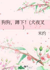 构构,蹲下!(犬夜叉)