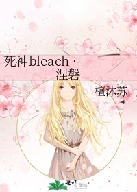 死神bleach ·涅磐