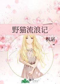 野猫流浪记