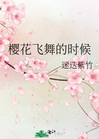 樱花飞舞的时候