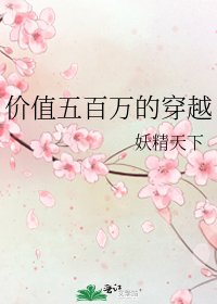 价值五百万的穿越
