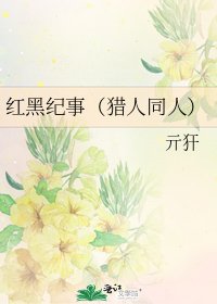 红黑纪事(猎人同人)