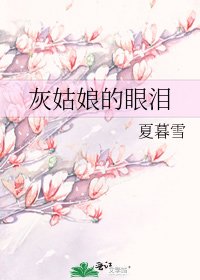 灰姑娘的眼泪