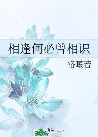 相逢何必曾相识