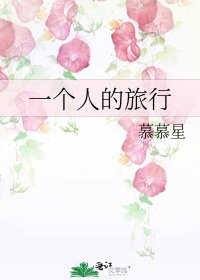 一个人的旅行