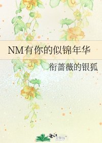 NM有你的似锦年华